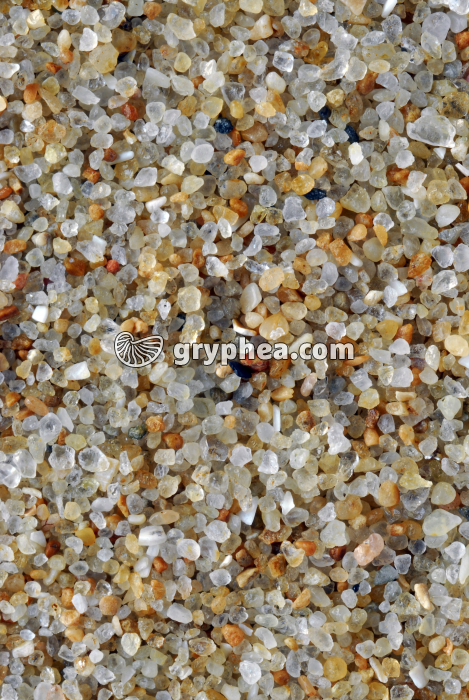 Sable quartzeux - Plage de La Baule (Loire Atlantique) x2 - gryphea.org